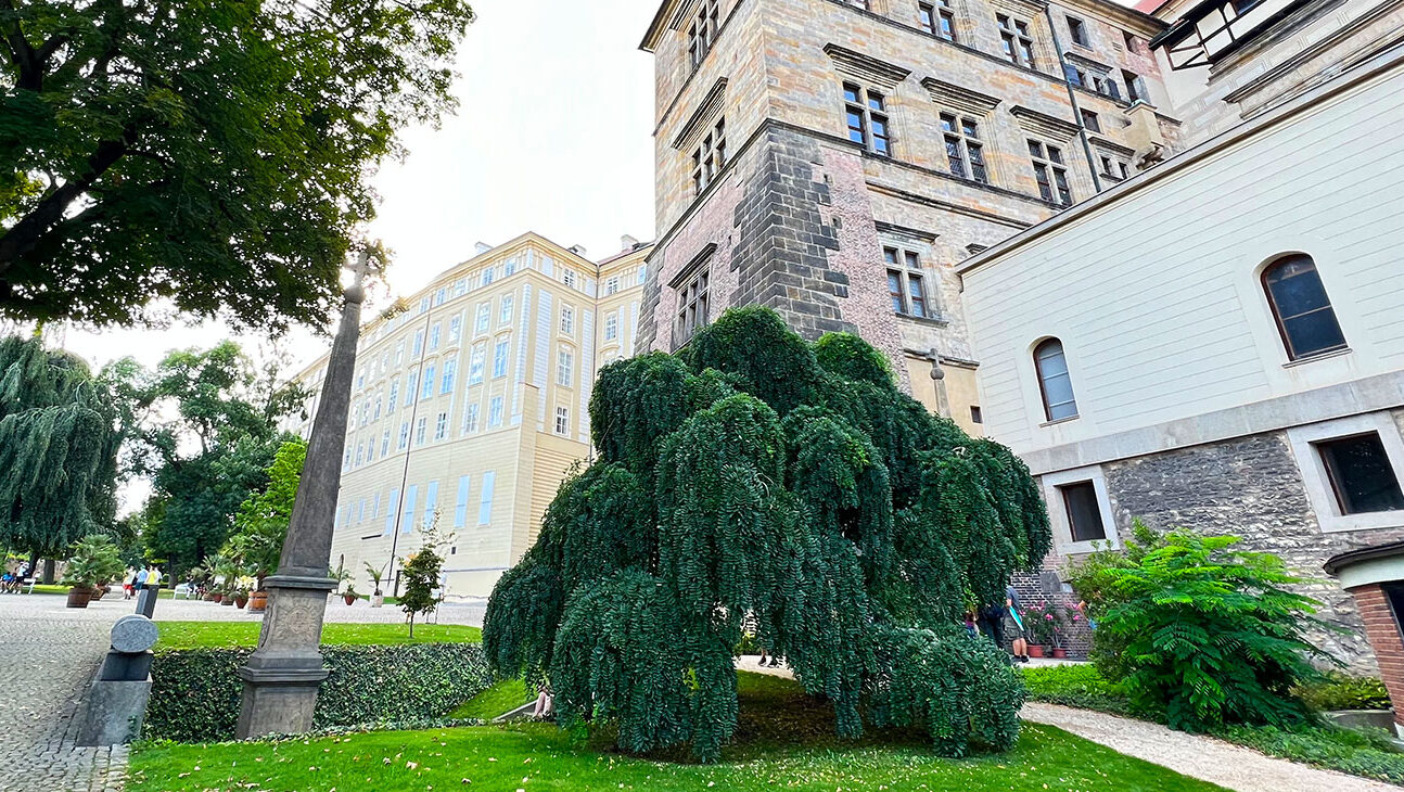Der Ort der Prager Fenstersturz - Ansicht von außen Der Ort der Prager Fenstersturz - Ansicht von außen